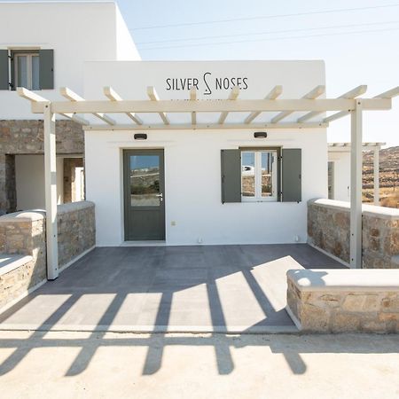 Silvair III By Silvernoses, Mykonos Villa Mykonos Town Eksteriør billede