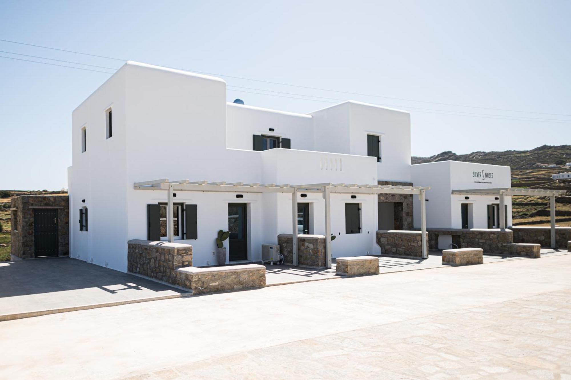 Silvair III By Silvernoses, Mykonos Villa Mykonos Town Eksteriør billede