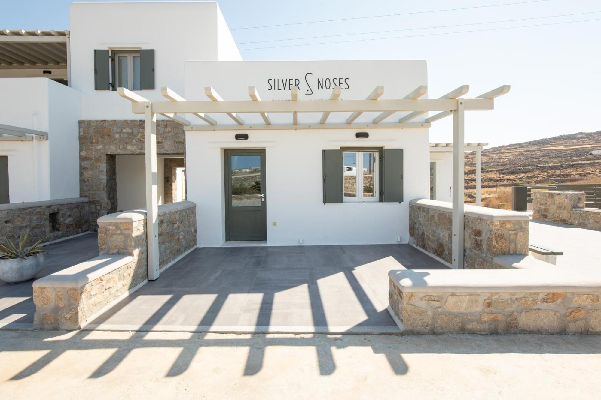 Silvair III By Silvernoses, Mykonos Villa Mykonos Town Eksteriør billede